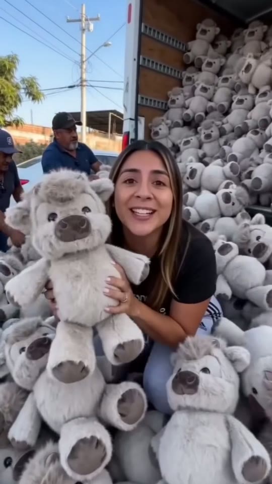 Plush companions lifestyle content